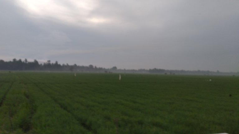 20240310_065918.jpg