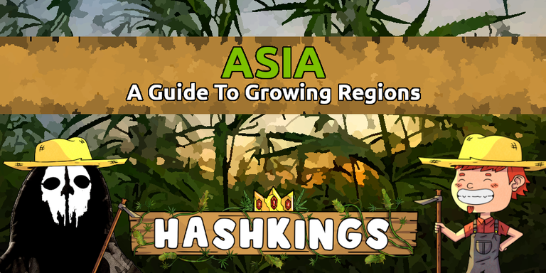 HashKings Region Guide: Asia