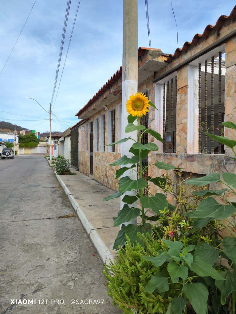 Sin título-3.jpg
