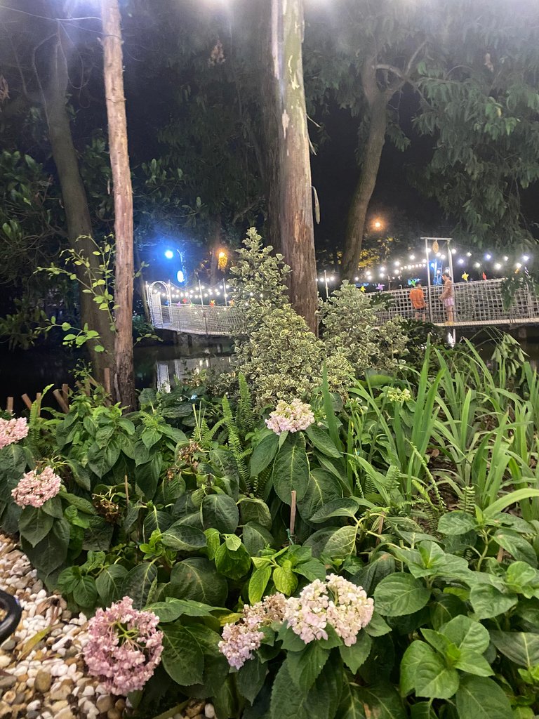 IMG_2346.jpeg
