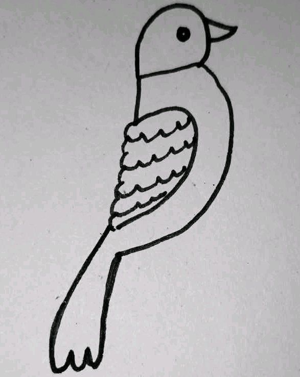 1752092653106_1.jpg
