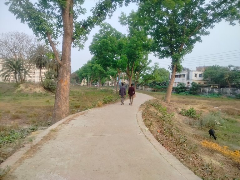 IMG20250408172536.jpg