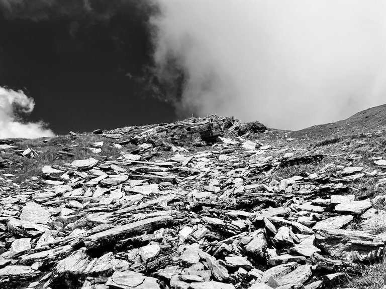 IMG_8636.jpeg