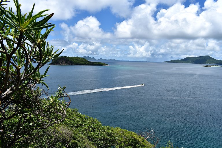Carriacou-28.jpg