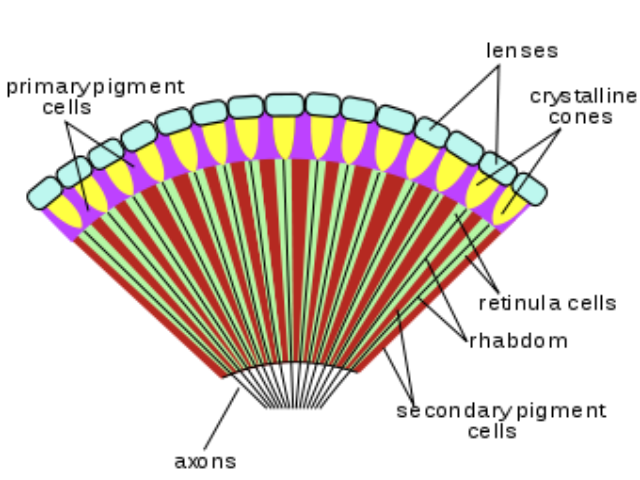 1_20210111_143218_0000.png