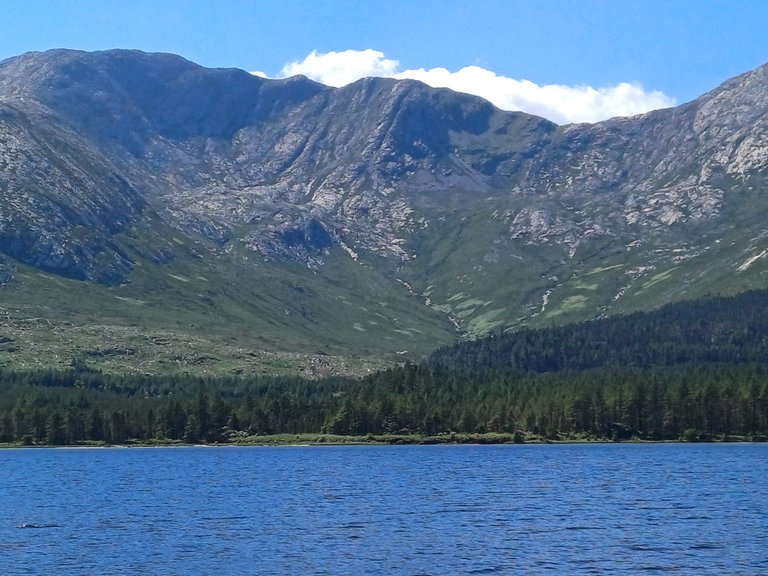 20250518_144206.jpg