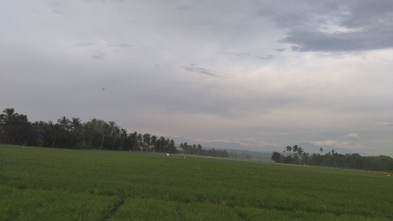 20240310_070106.jpg