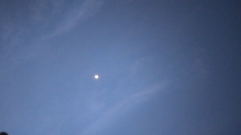 20240204_062715.jpg