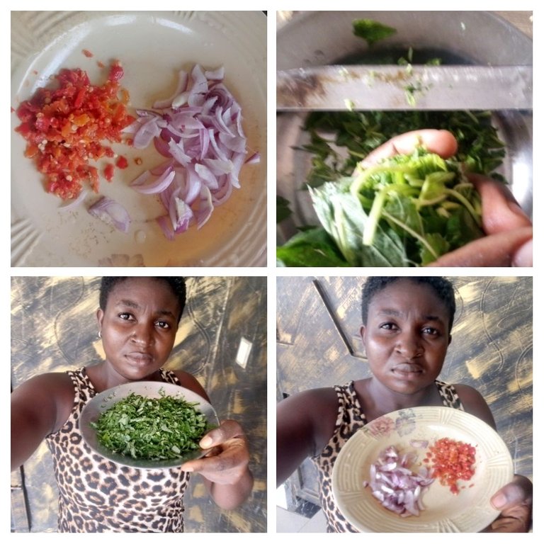 IMG_20250815_213445-COLLAGE.jpg