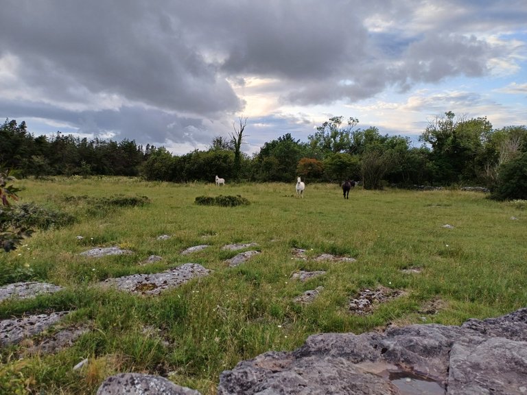 20250706_204620.jpg