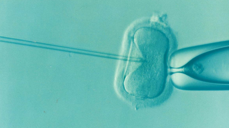 ivf-fertility-infertility-ace762-1024.png
