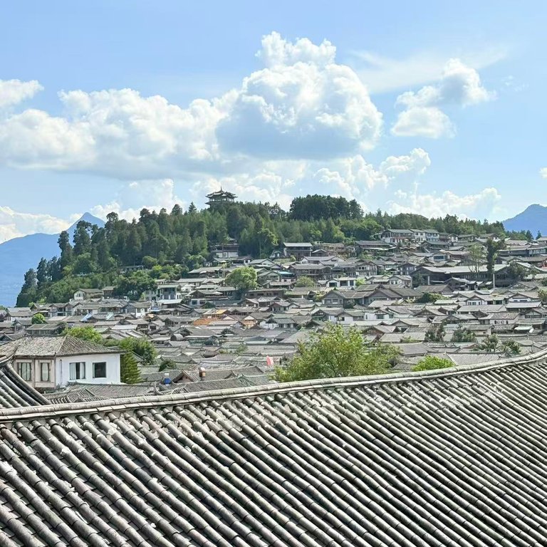 86.jpg