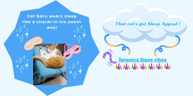 sleep_Appeal.jpg