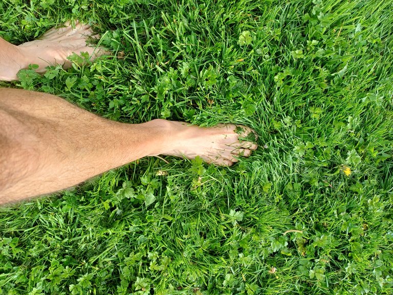 20250702_082235.jpg