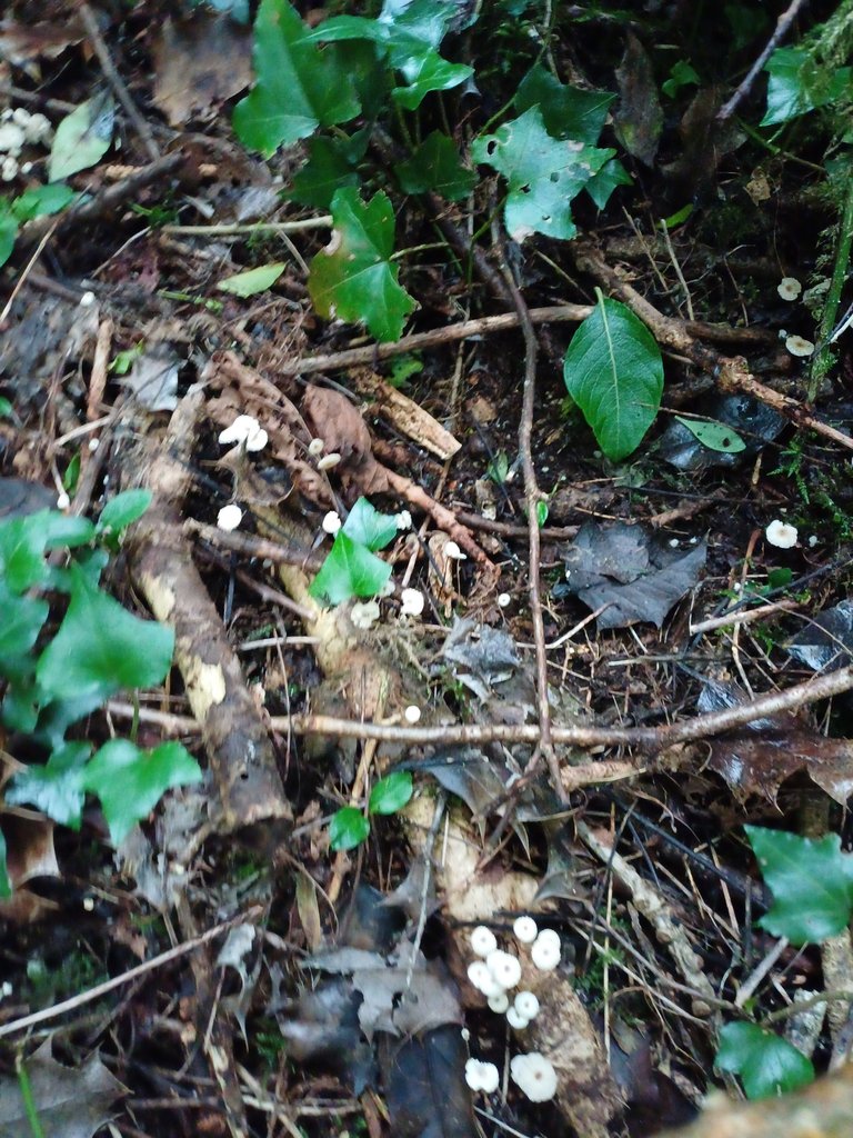 20250706_172141.jpg