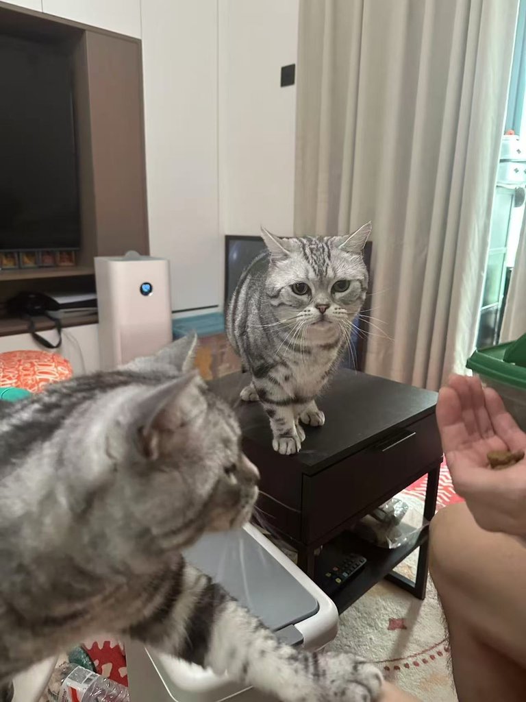 微信圖片_20250526083735.jpg