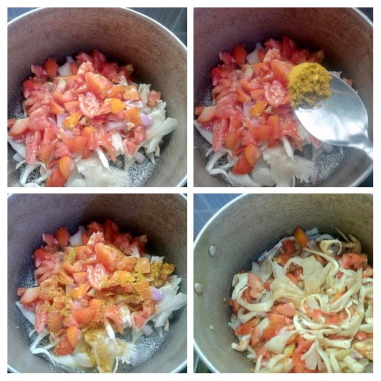 IMG_20250817_212111-COLLAGE.jpg