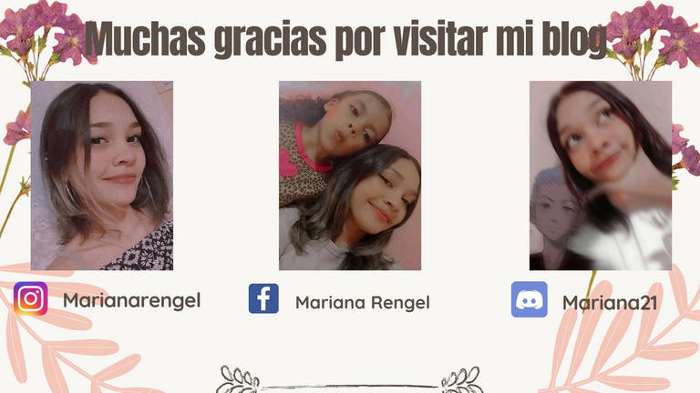 Muchas gracias por visiar mi blog.png