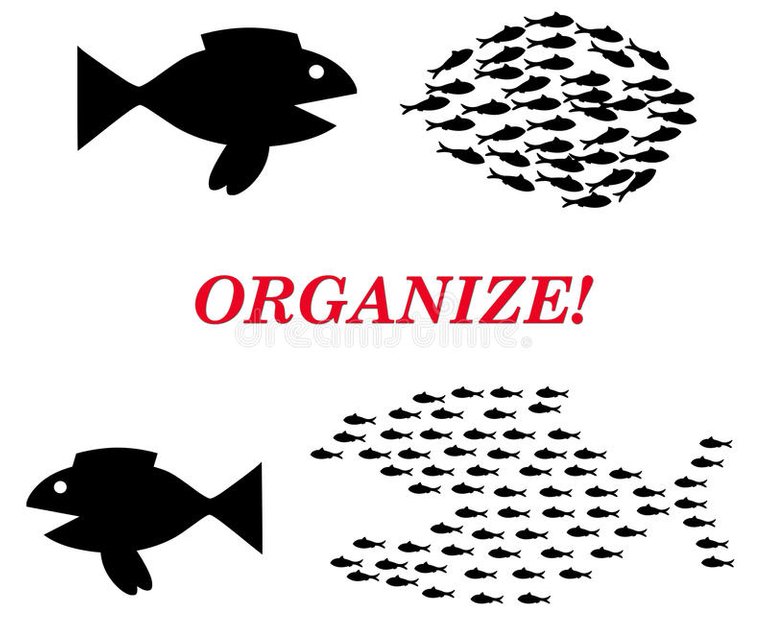 organize-concept-20513599.jpg