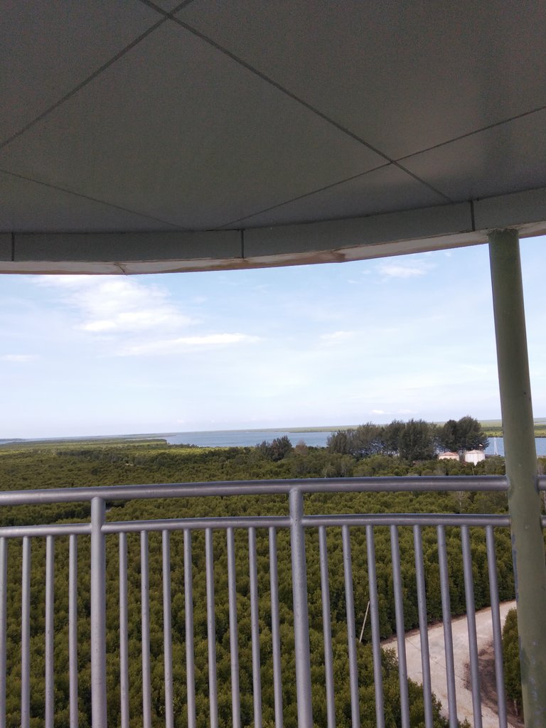 IMG-20250810-WA0028.jpg