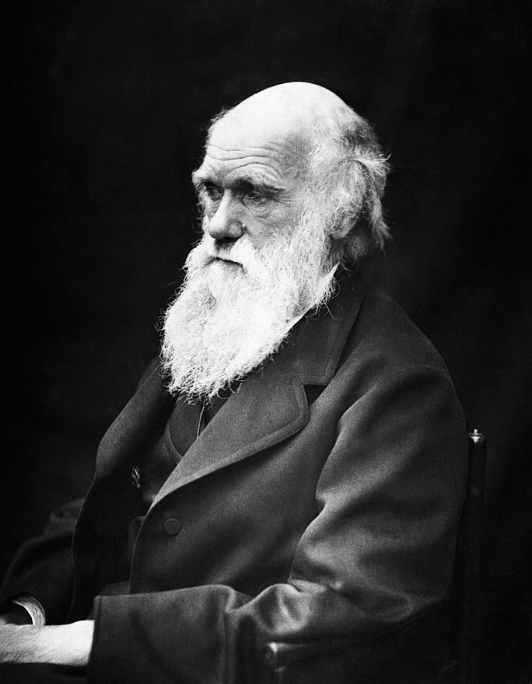 charles-robert-darwin-scientists-naturalist-theory-of-evolution.jpg