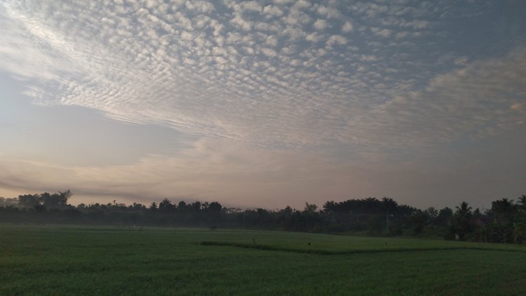 20240317_065948.jpg