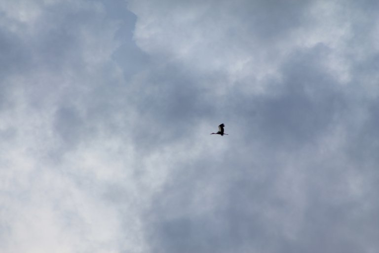 IMG_8409.JPG