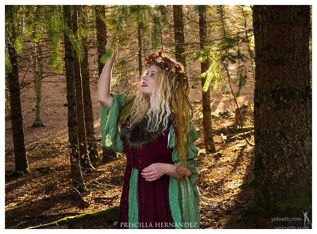 yule fairy - by priscilla Hernandez (yidneth.com) - Priscilla Hernandez -640- by Priscilla Hernandez.jpg