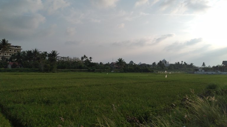 20240405_174639.jpg