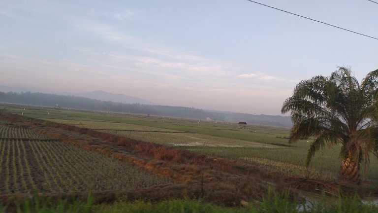 20240313_070053.jpg