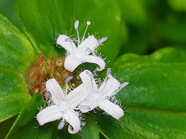 20201224_104418.jpg