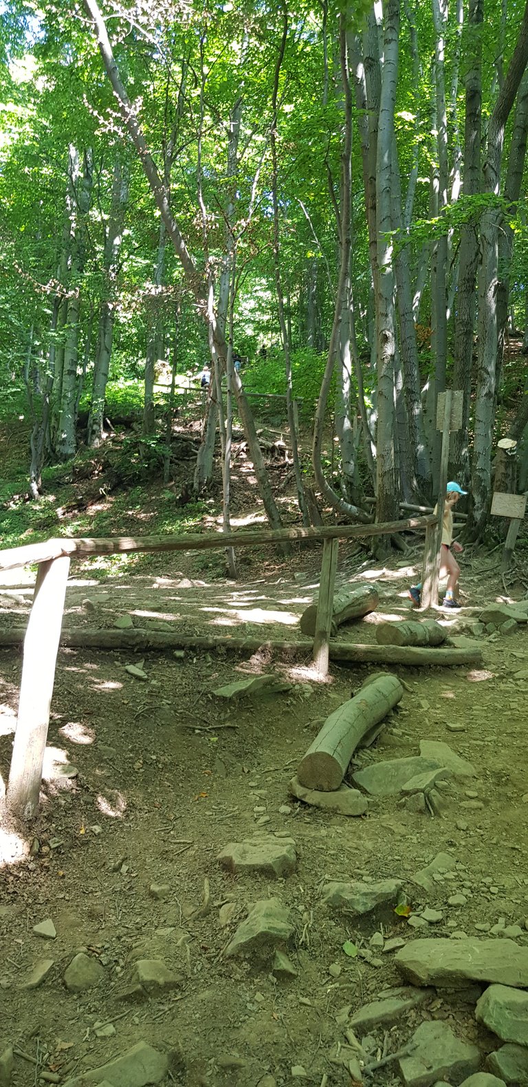 20240815_105422.jpg
