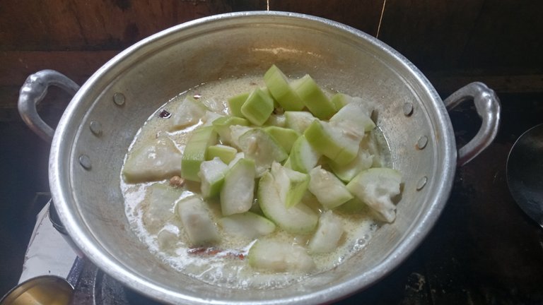 IMG20250619103122.jpg