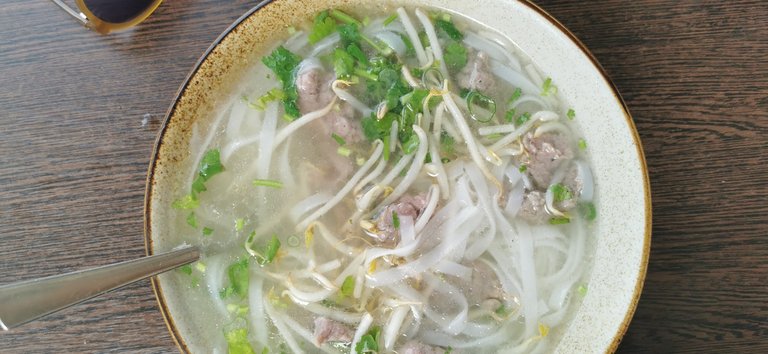 Vietnamesische Suppe mit Rindfleisch und Reisbandnudeln 🍜