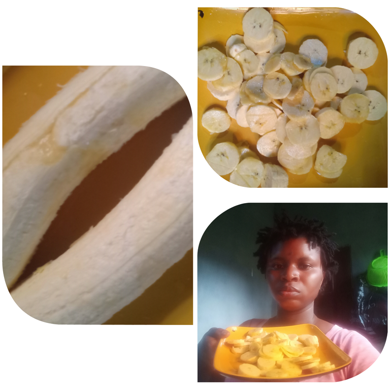 Collage 2025-07-12 11-10-46.png