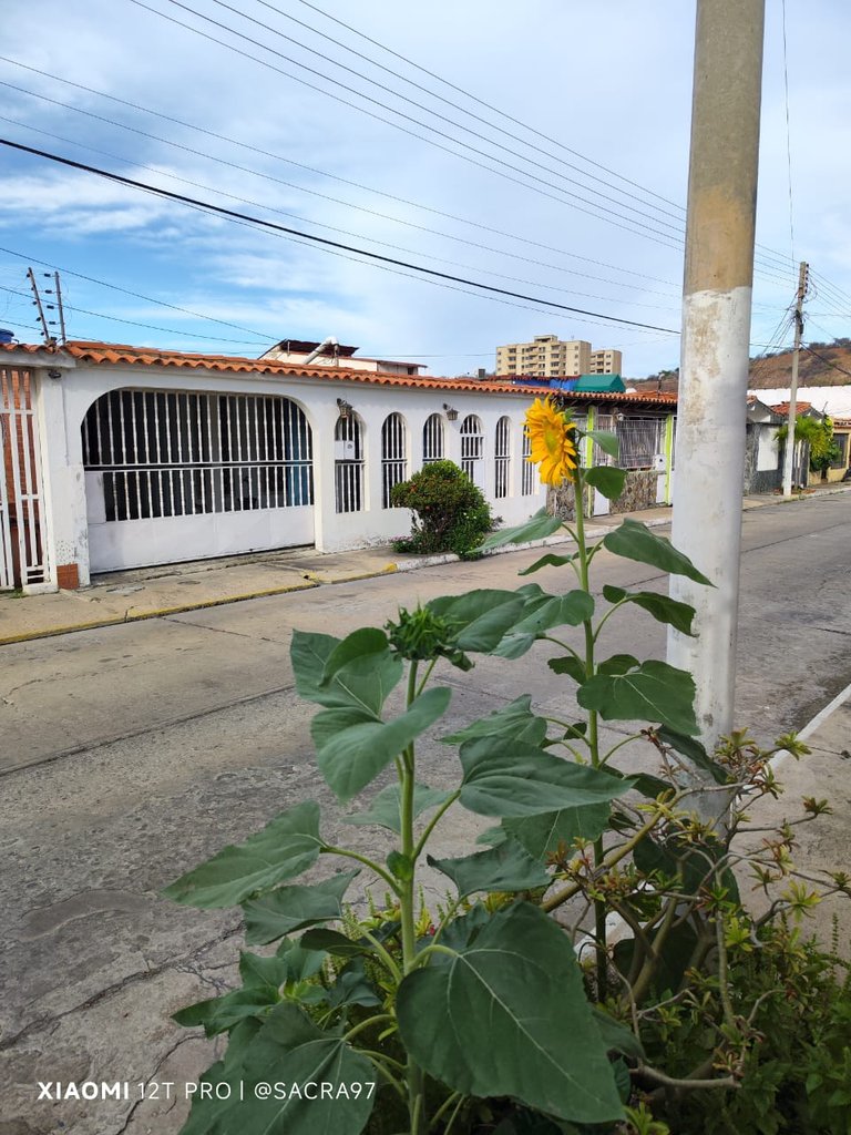 Sin título-3.jpg
