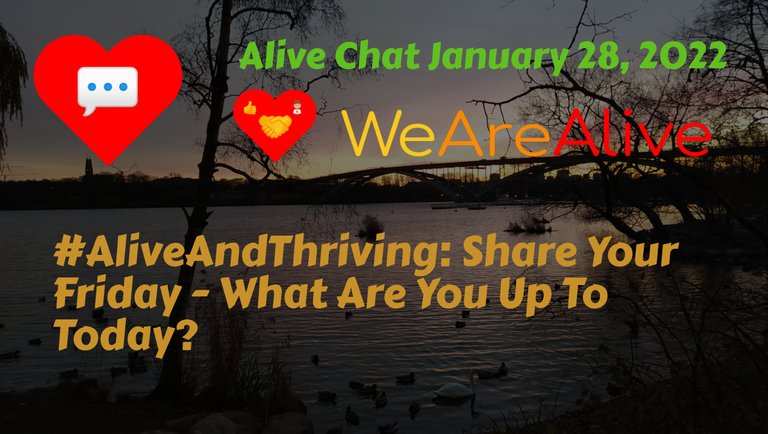 Alive Chat January 28, 2022 - #AliveAndThriving: Share Your Friday - What Are You Up To Today?