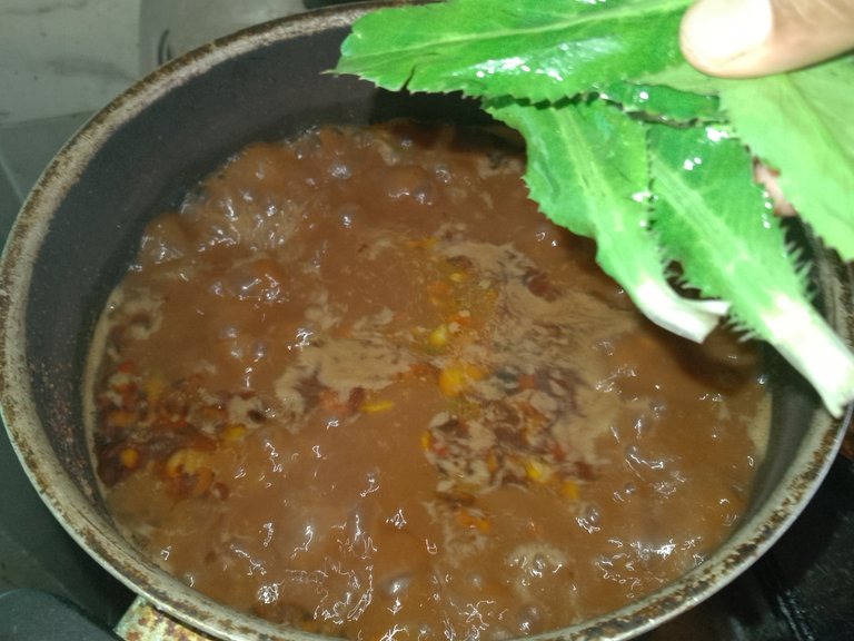 IMG_20240116_095855_860.jpg
