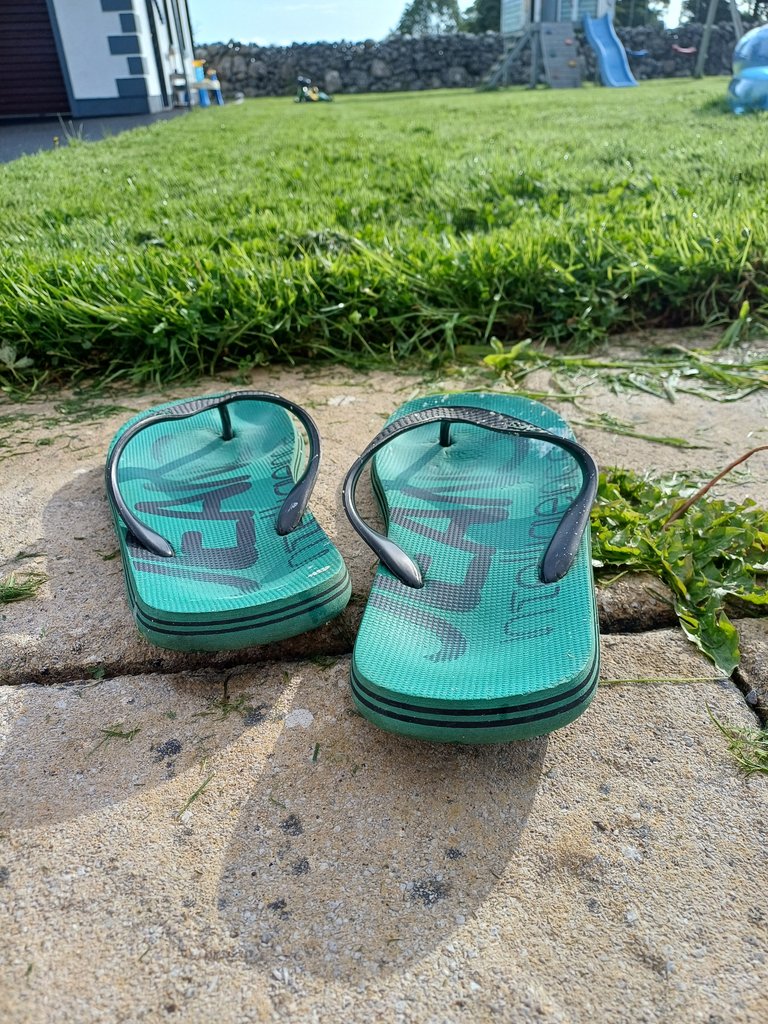 20250702_082119.jpg