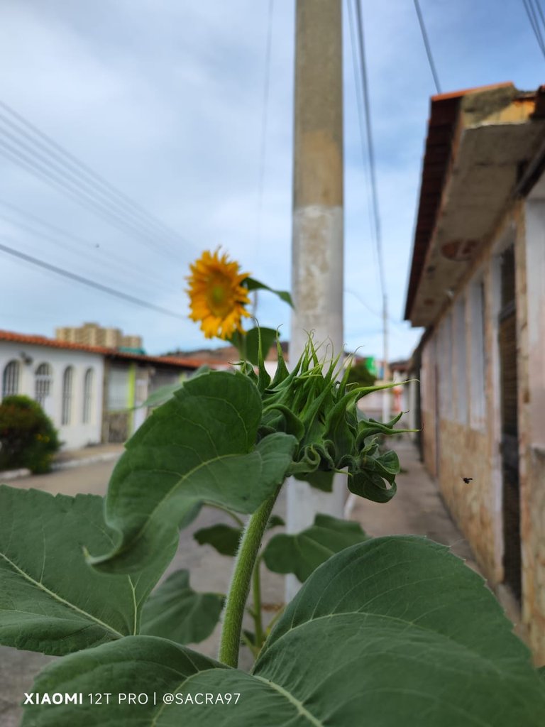 Sin título-3.jpg