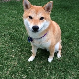 A8092A56-D7BF-4F08-8C5D-5AAB9C32CD75.jpeg