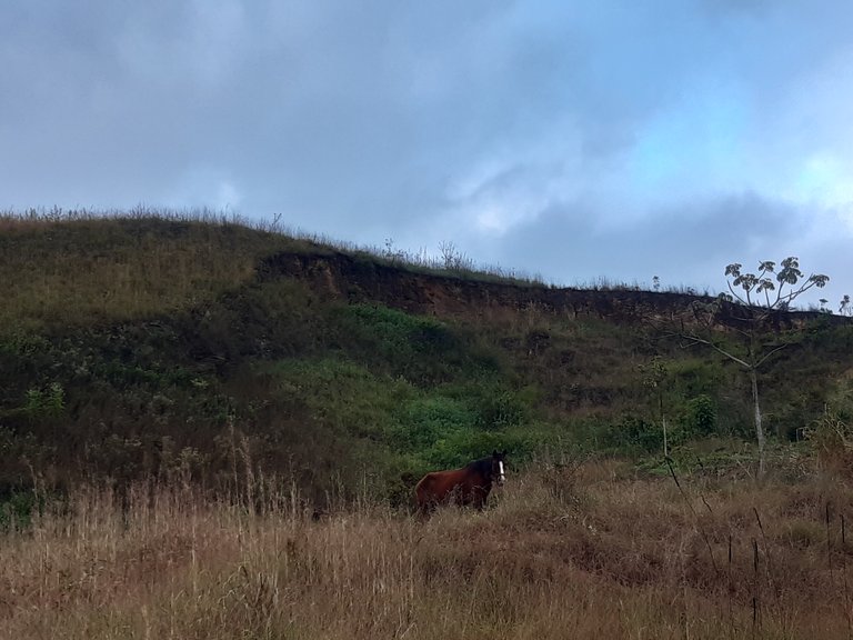 20210111_071841.jpg