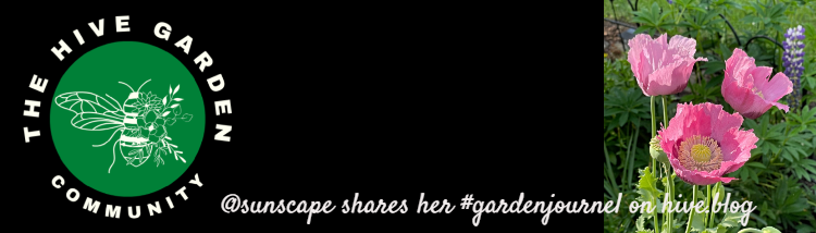 banner-poppy.png
