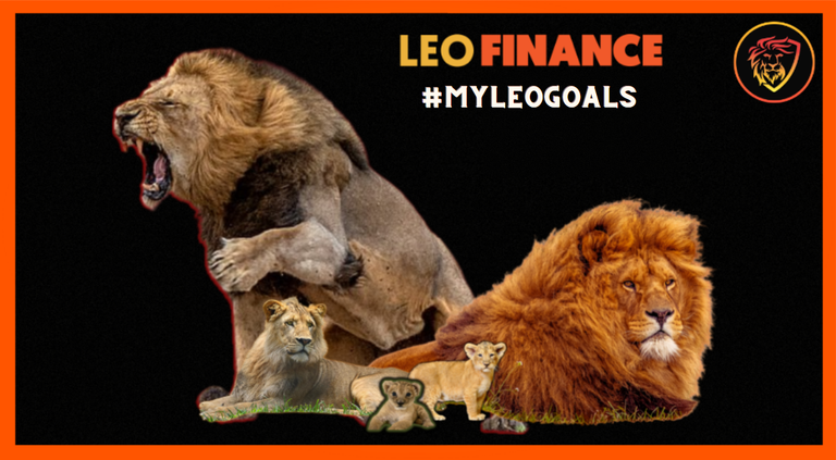 My Leo Goals for 2023