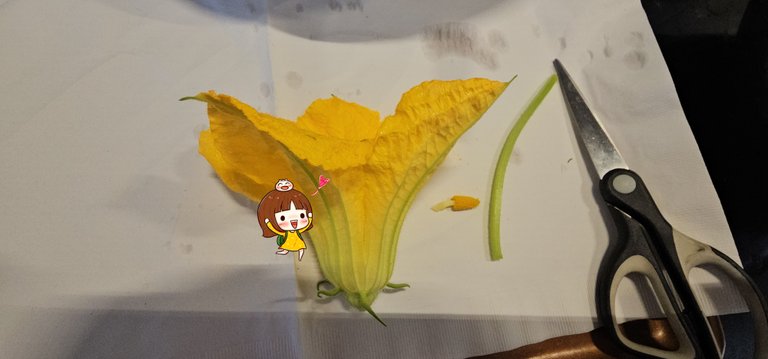 20250726_112738_1753677736143.jpg