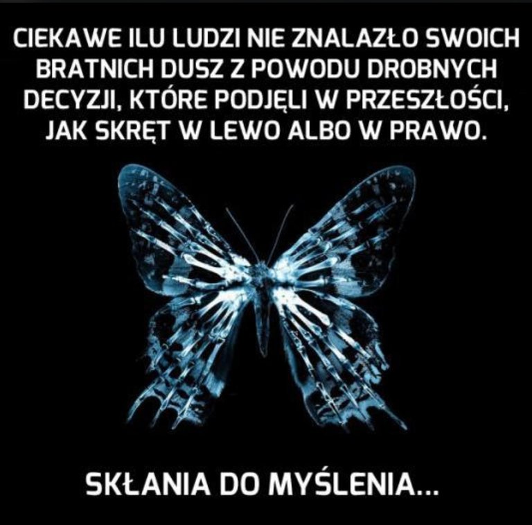 fullsizeoutput_9585.jpeg