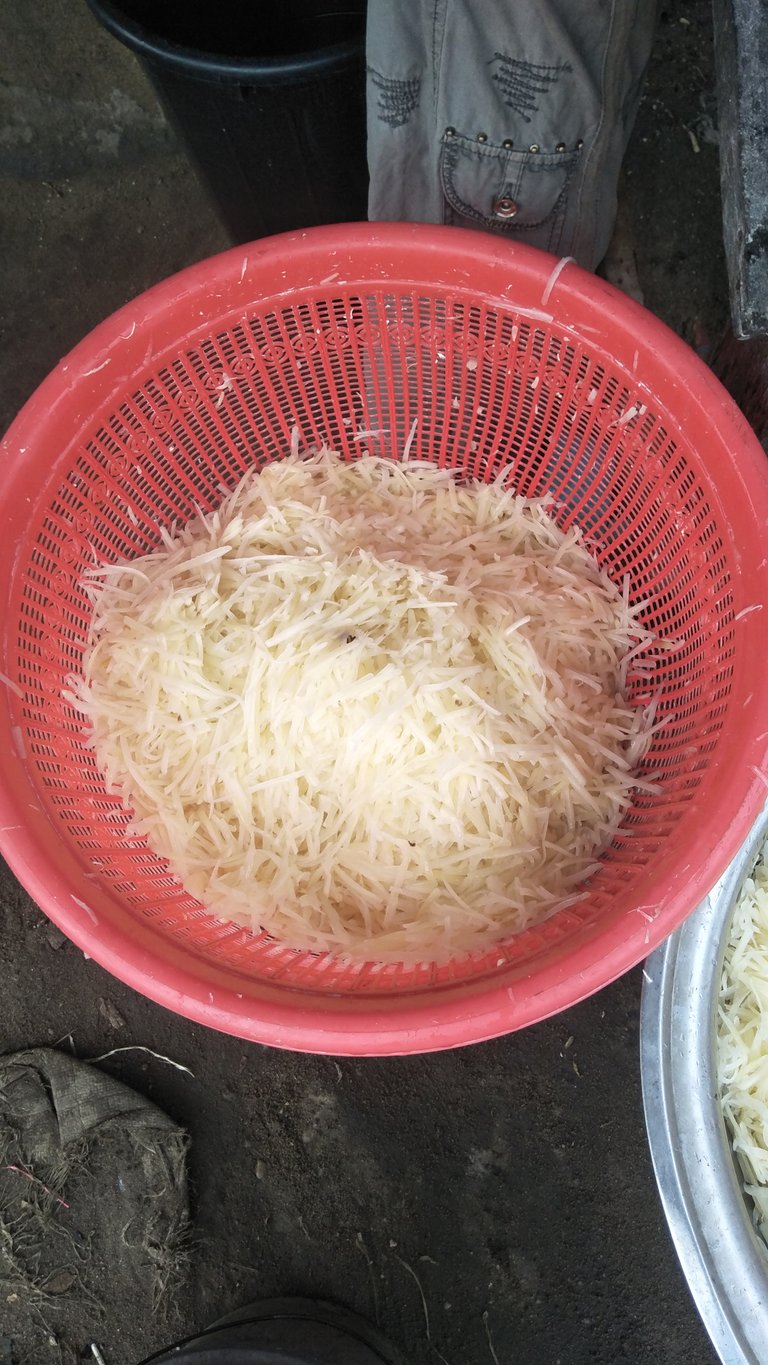 IMG20250408164913.jpg