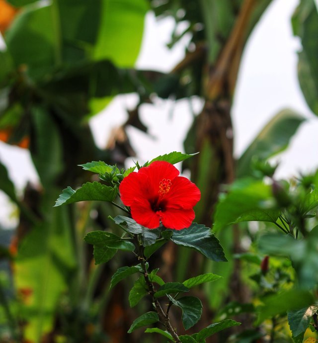 IMG_655226.JPG