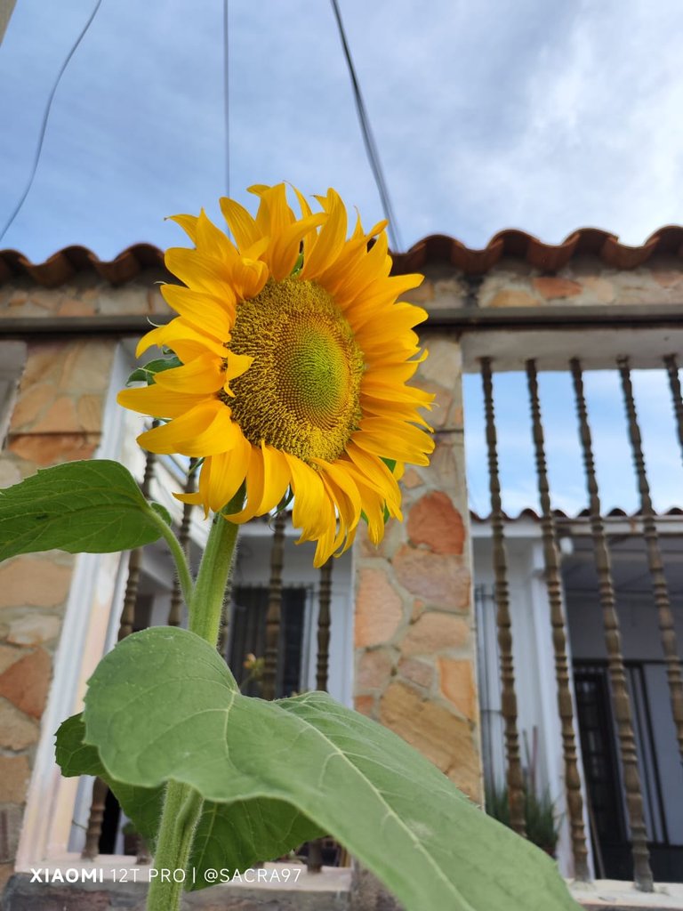 Sin título-3.jpg