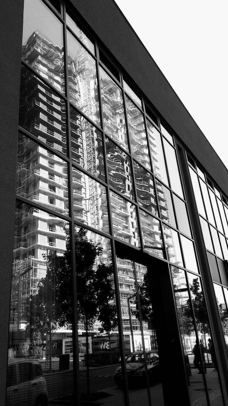20250403_145637_bw.jpg